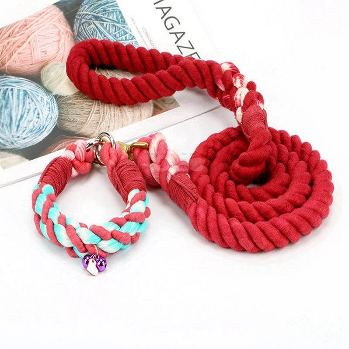 Rope Dog Collar and Leash